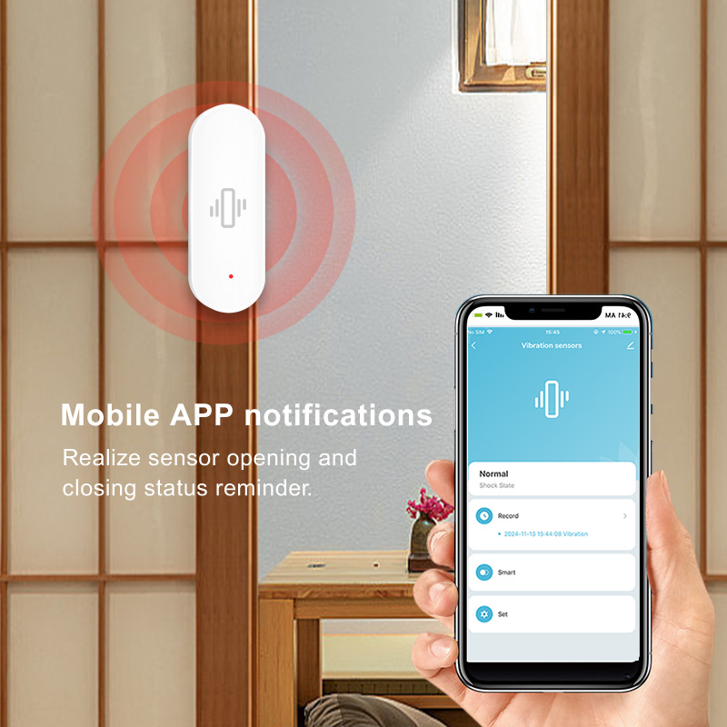 Tuya Smart Home WiFi Vibration - Smart Home Notifications 评论和价格