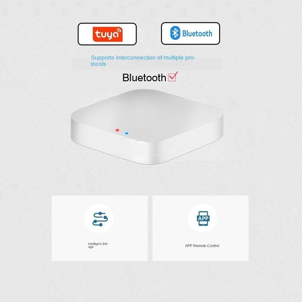 Tuya / Smart Life Gateway Hub  - Smart Home Hub Matter 评论和价格