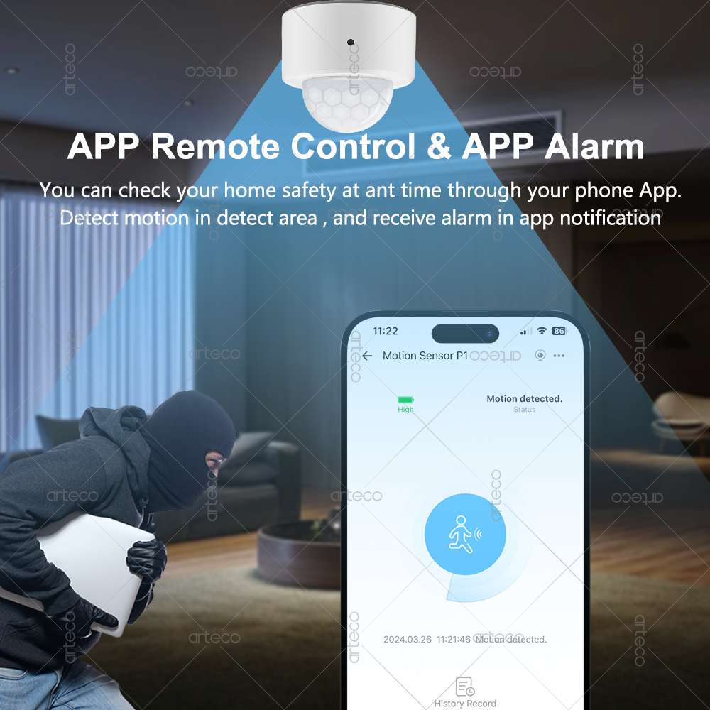 Ewelink Zigbee PIR Motion Sens - Smart Home Blog 评论和价格