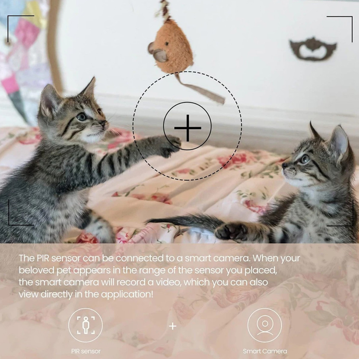 ZigBee 3.0 PIR Motion Sensor W - Smart Home Blog 评论和价格