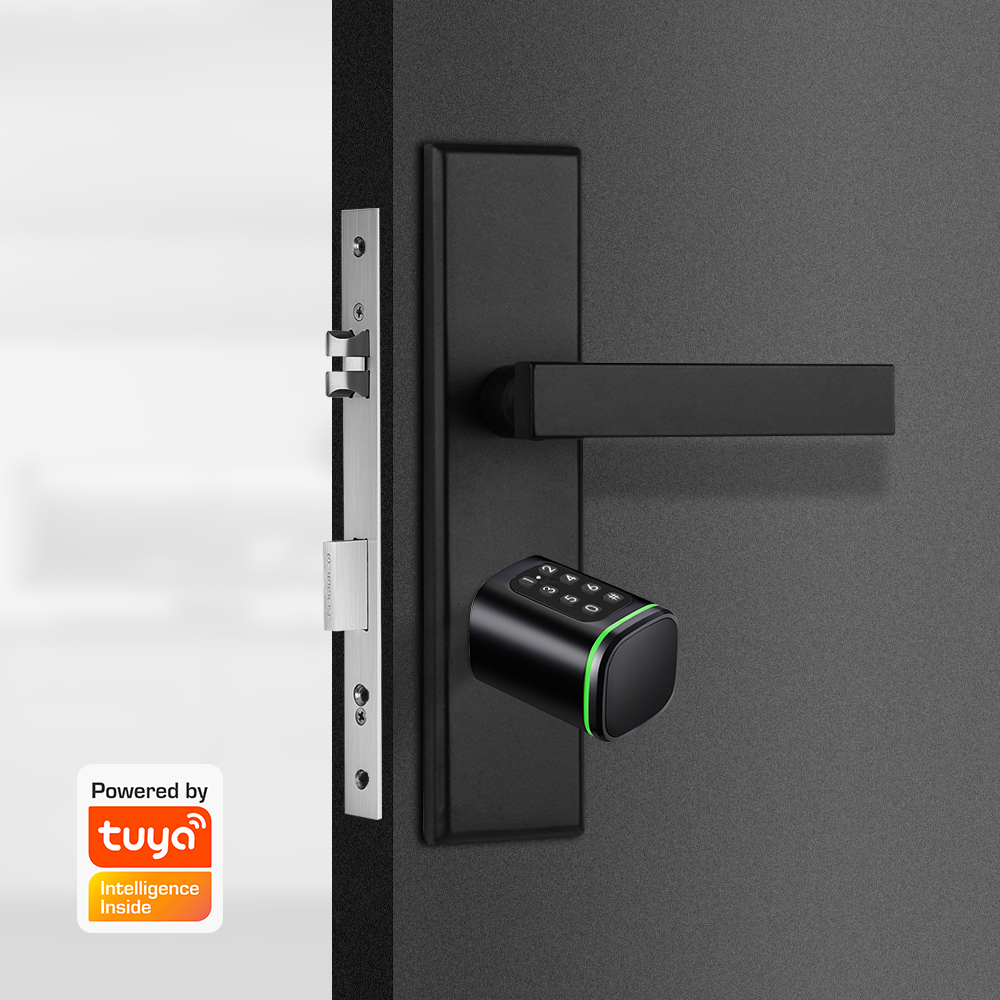Smart Cylinder Lock Tuya 60-90 - Smart Home Website 评论和价格